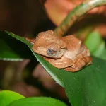 Zoo Antwerp Visit July 2026