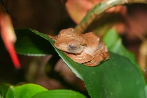 Zoo Antwerp Visit July 2026